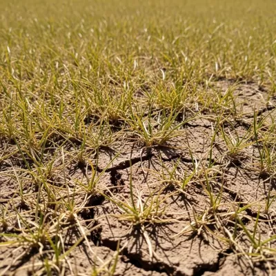 Imagen PNG para descargar